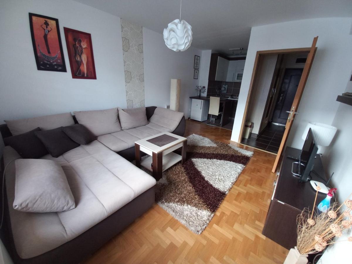 Apartman Pivasevic Sarajevo Bagian luar foto